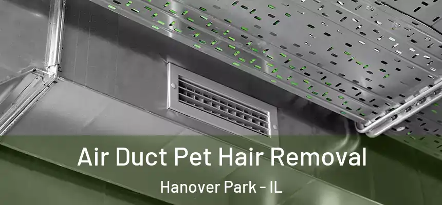  Air Duct Pet Hair Removal Hanover Park - IL