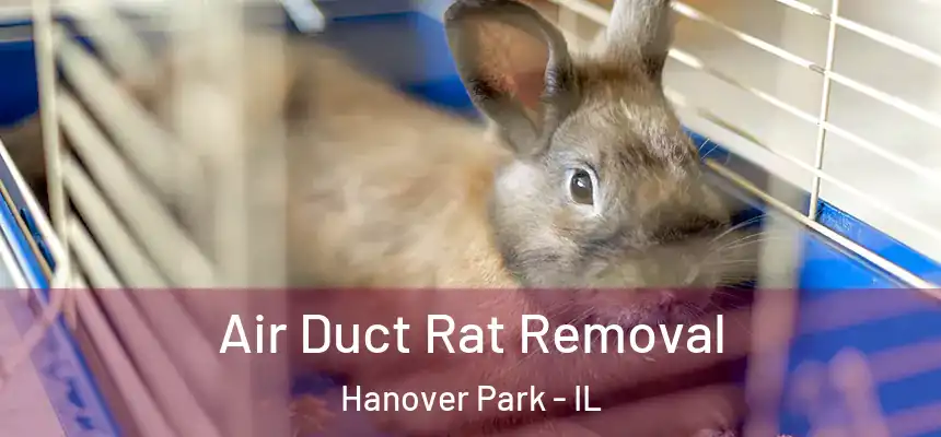 Air Duct Rat Removal Hanover Park - IL
