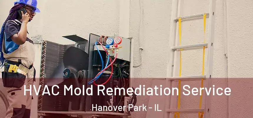  HVAC Mold Remediation Service Hanover Park - IL