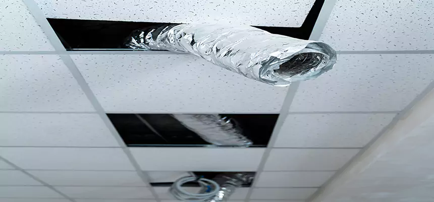 Affordable HVAC Sanitizing After Pest Removal in Hanover Park