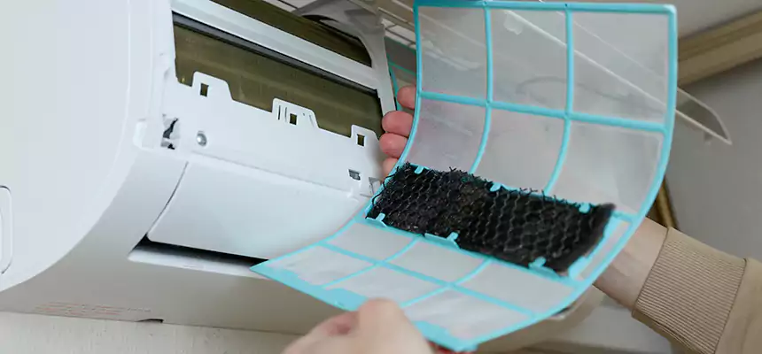 Gentle Ductwork Odor-Control Pet Dander Duct Cleaning in Hanover Park, IL