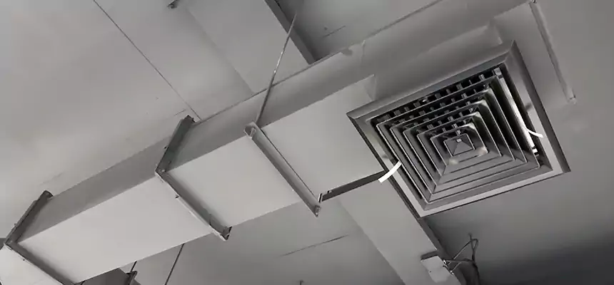 Our Rodent Droppings In Vents Services in Hanover Park, IL