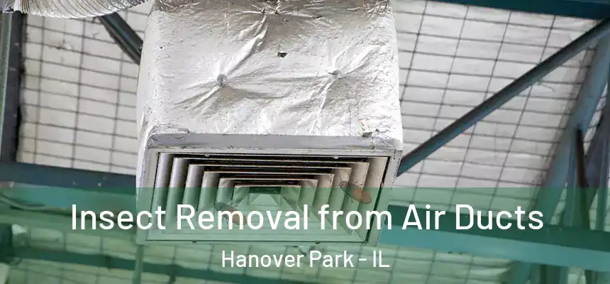 Insect Removal from Air Ducts Hanover Park - IL