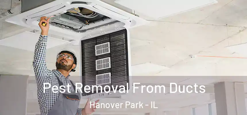  Pest Removal From Ducts Hanover Park - IL