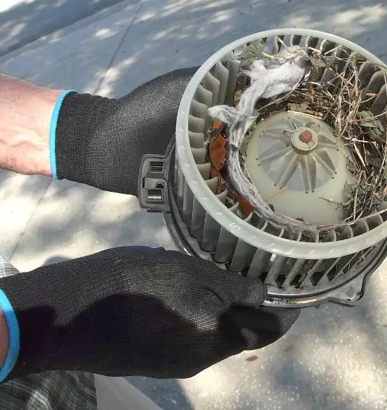 About Air Duct Mice Removal in Hanover Park, IL