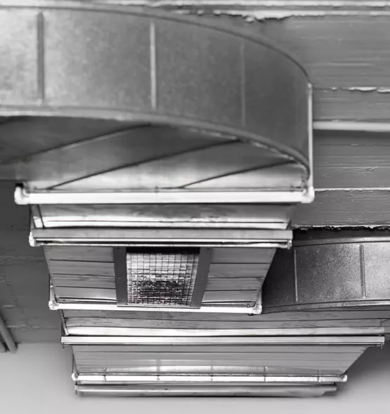 Professional Air Duct Pest Removal in Hanover Park, IL