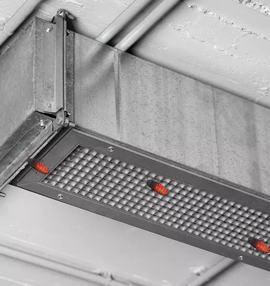 Affordable Insect Removal from Air Ducts in Hanover Park, IL