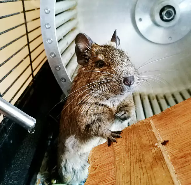 Why Homeowners & Businesses Trust Us Hanover Park, IL