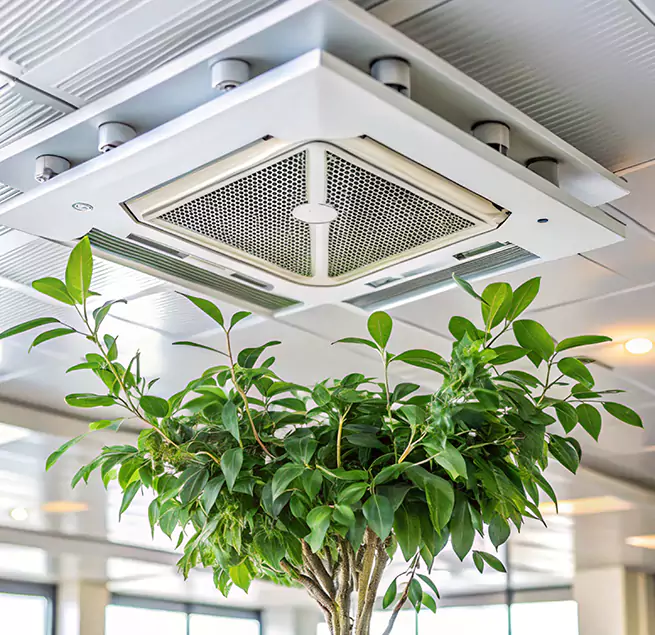 Why Homeowners & Businesses Trust Us in Hanover Park, IL?