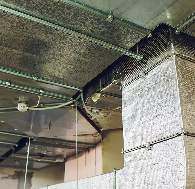 Why Homeowners & Businesses Trust Us in Hanover Park, IL?